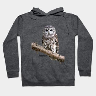 Barred Owl Hoodie